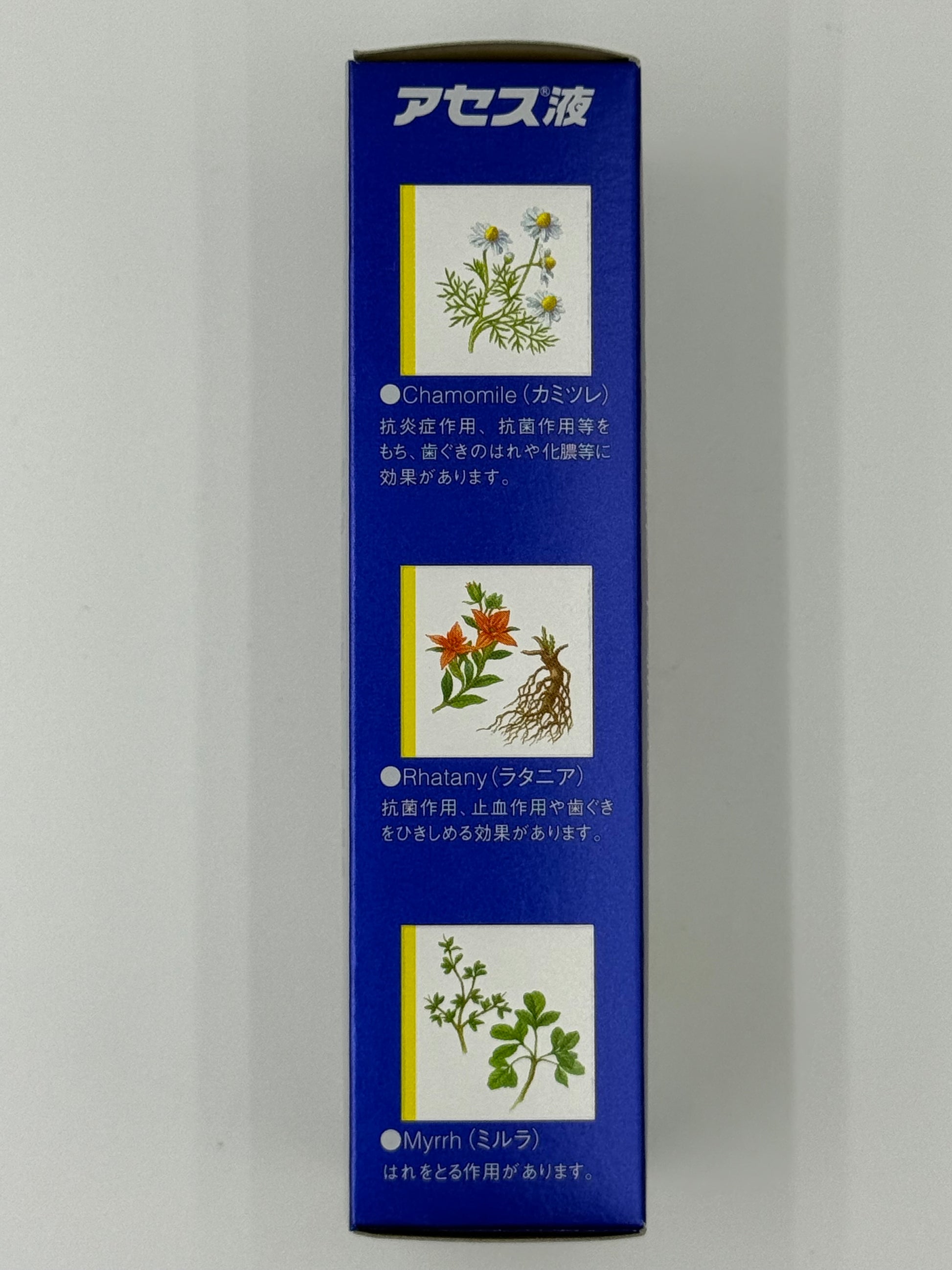 佐藤 牙菌消 (90毫升) SATO ACESS (90ML)